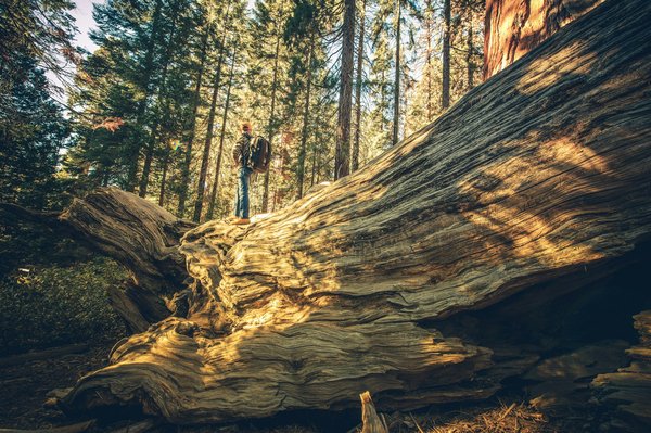 Comment organiser une expédition pour explorer les grottes de glace en Islande?